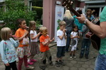 gal/2010/2010 Saitentwist Kita Friede 12.Juni/_thb_2010 Saitentwist KIta Friede 12.JUni 102 (72).jpg